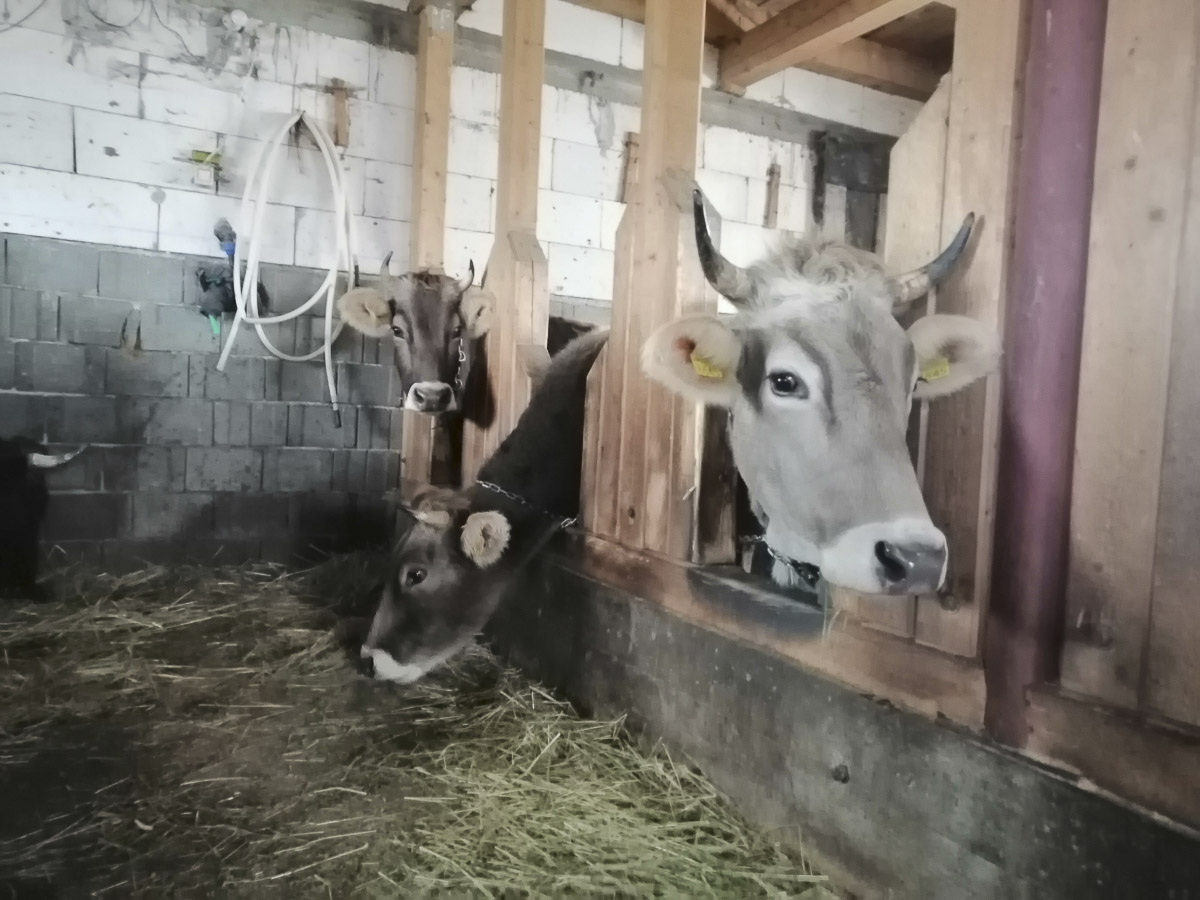 Szakmai látogatás tudományos, kutatási céllal